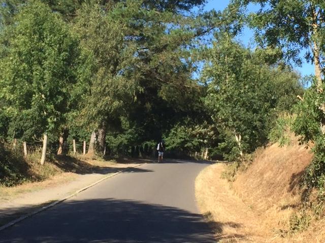 Jour 15 les belles routes
